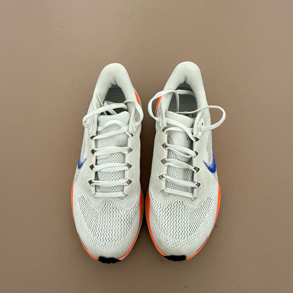 Nike Pegasus 41 Blueprint